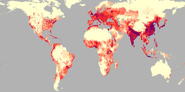 Global map showing gridded population