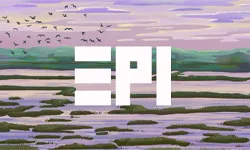 Environmental Performance Index (EPI)