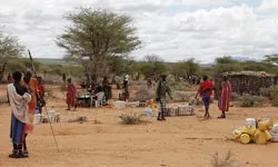 Climate Mobility Network (CMN) and the Global Centre for Climate Mobility (GCCM) Knowledge Hub